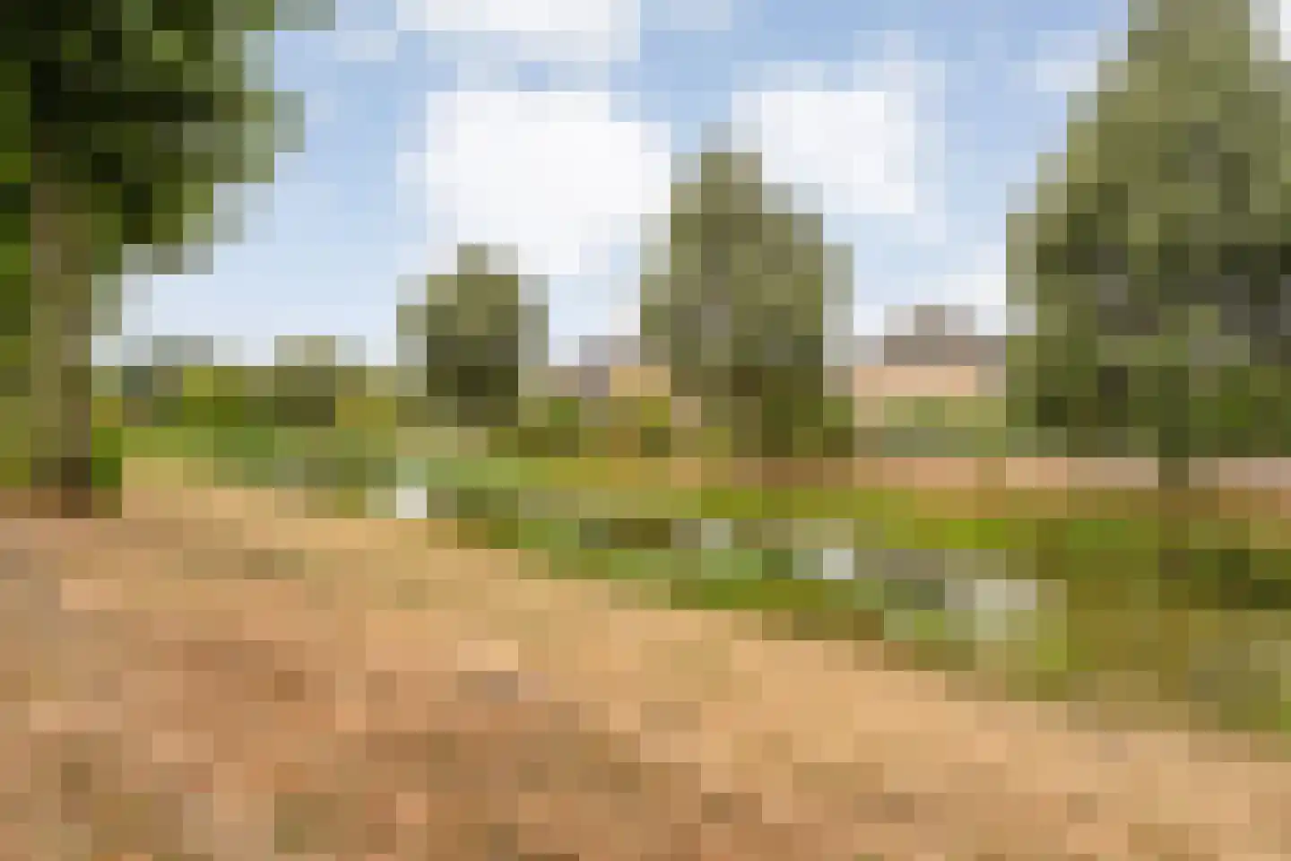 Citroenvlinder 66 Hoogeveen thumbnail 53