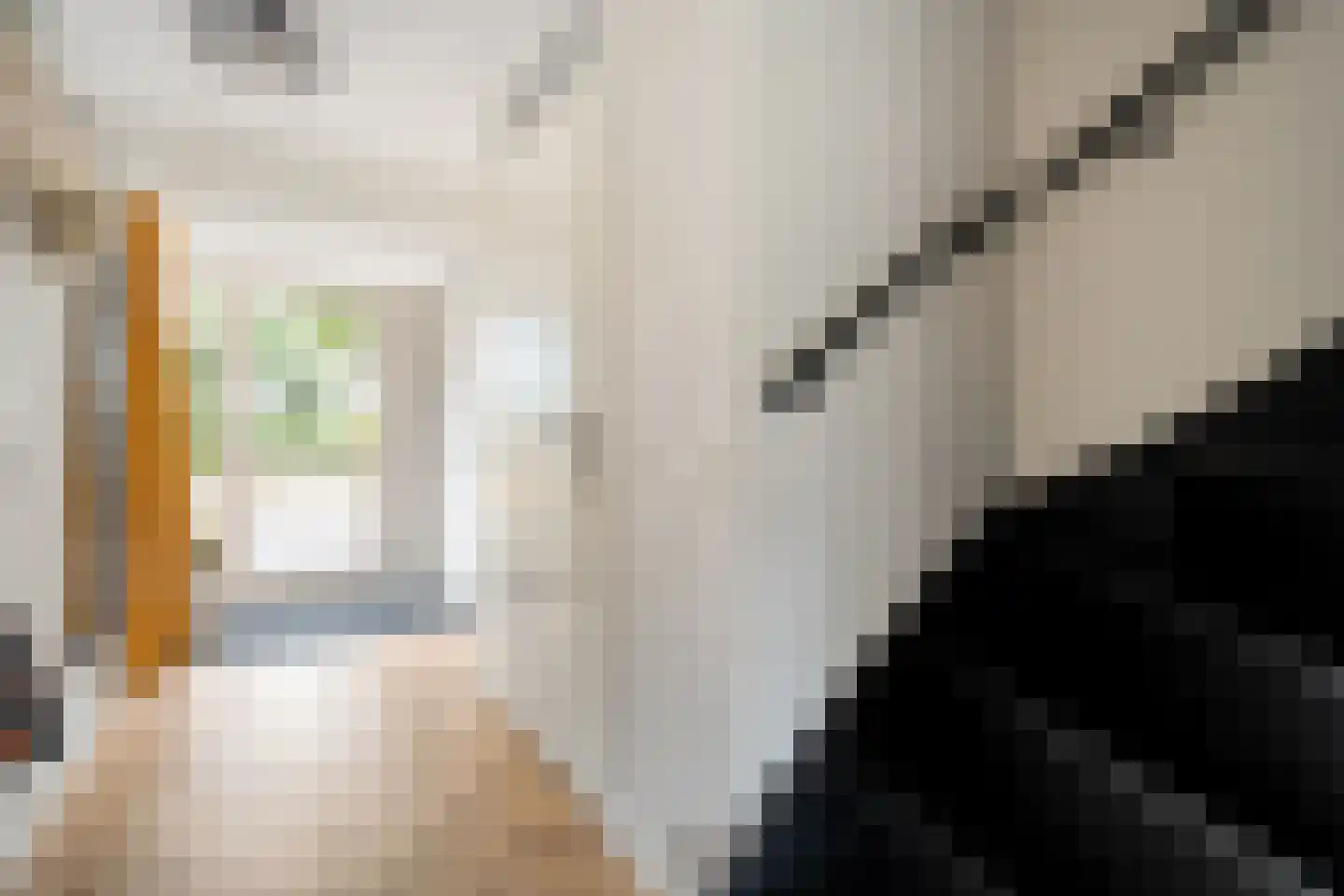 Citroenvlinder 66 Hoogeveen thumbnail 8