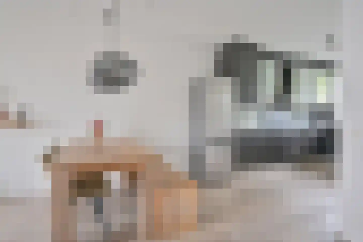 Citroenvlinder 71 Hoogeveen thumbnail 15