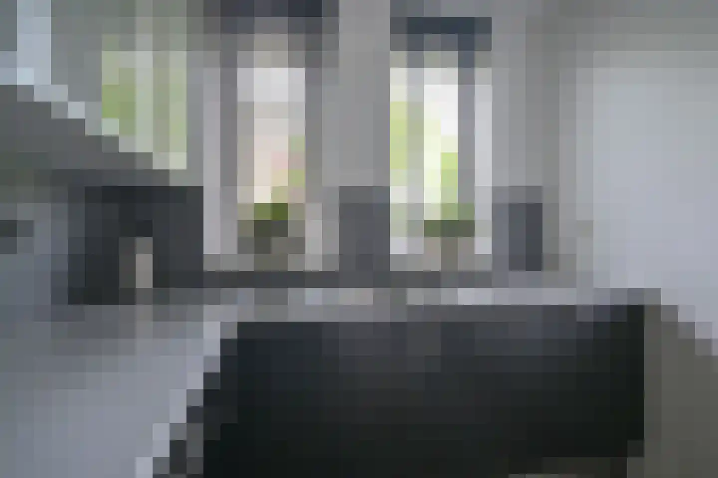 Citroenvlinder 71 Hoogeveen thumbnail 19