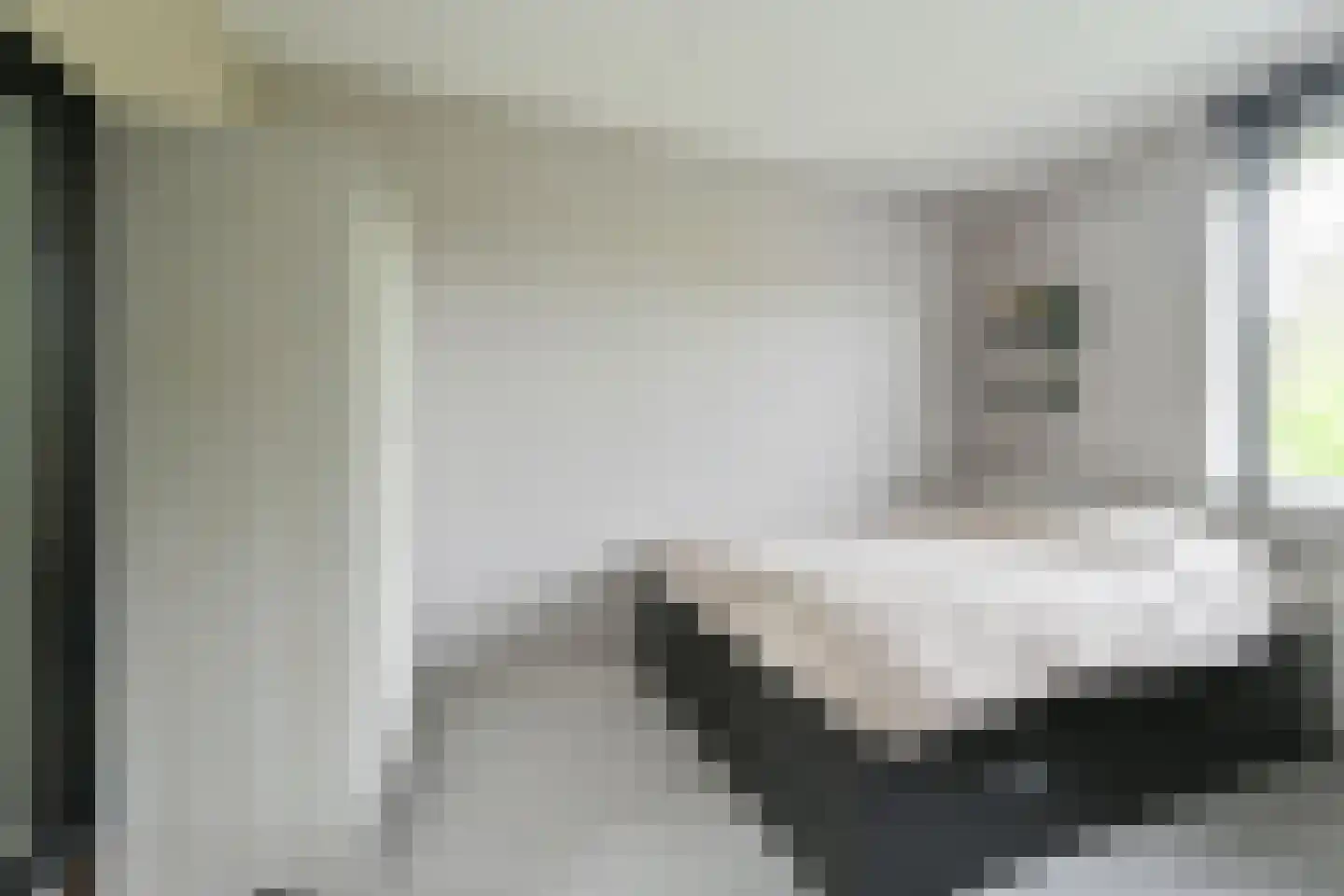 Citroenvlinder 71 Hoogeveen thumbnail 23