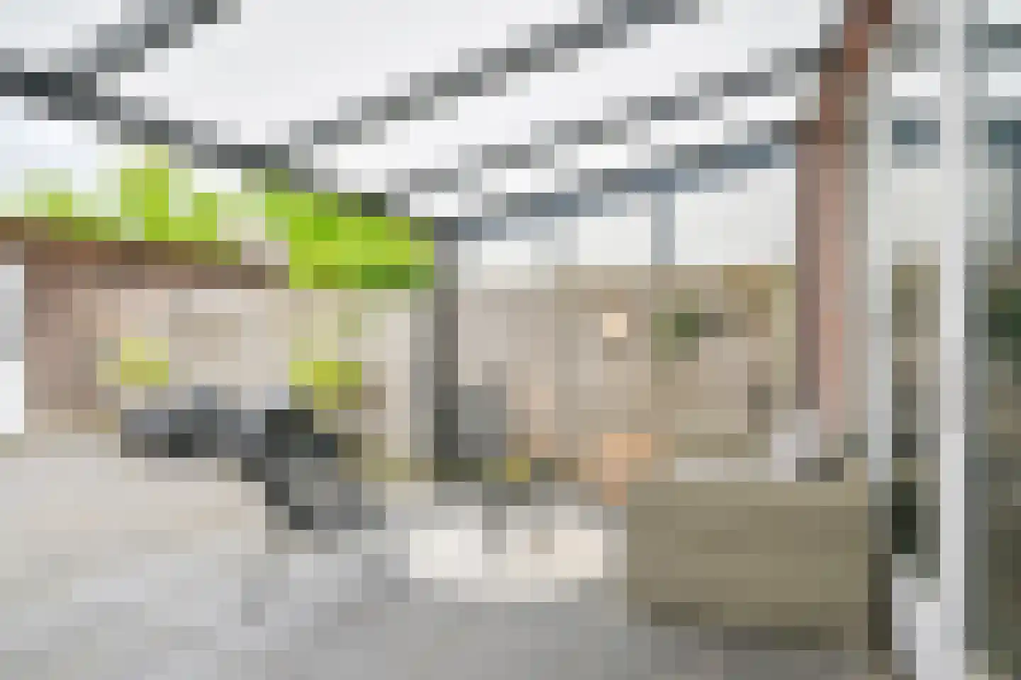Citroenvlinder 71 Hoogeveen thumbnail 45