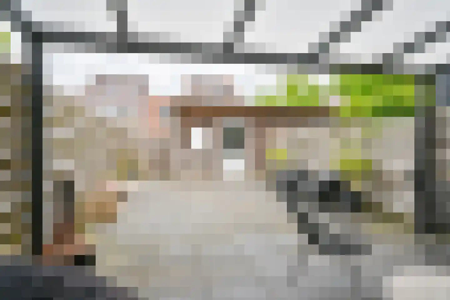 Citroenvlinder 71 Hoogeveen thumbnail 46