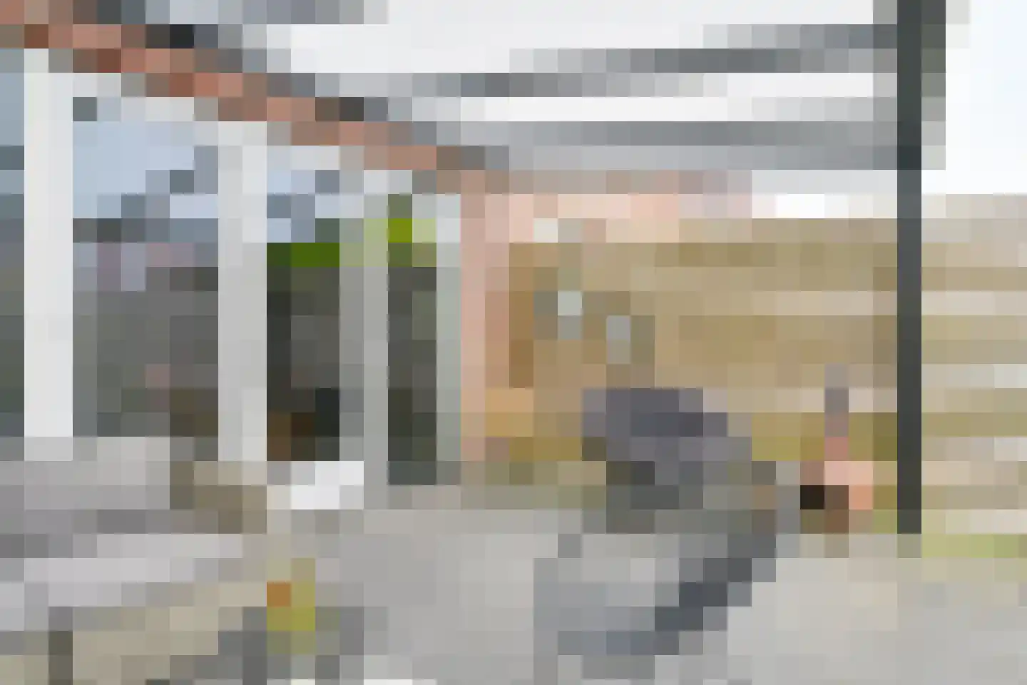 Citroenvlinder 71 Hoogeveen thumbnail 47