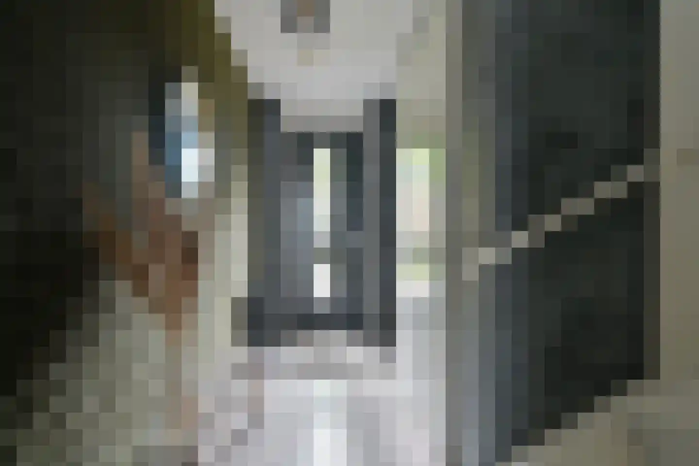 Citroenvlinder 71 Hoogeveen thumbnail 5