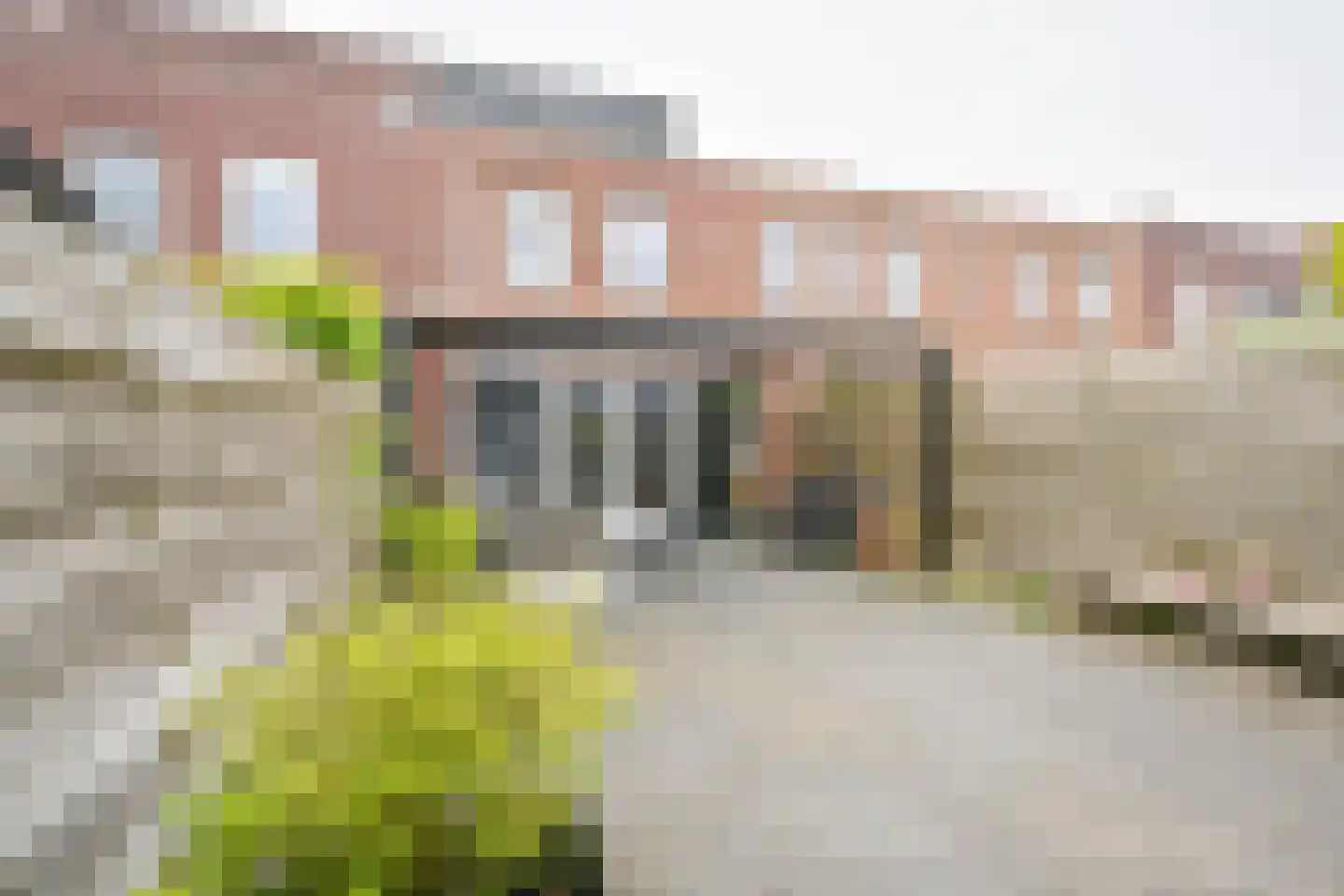 Citroenvlinder 71 Hoogeveen thumbnail 50