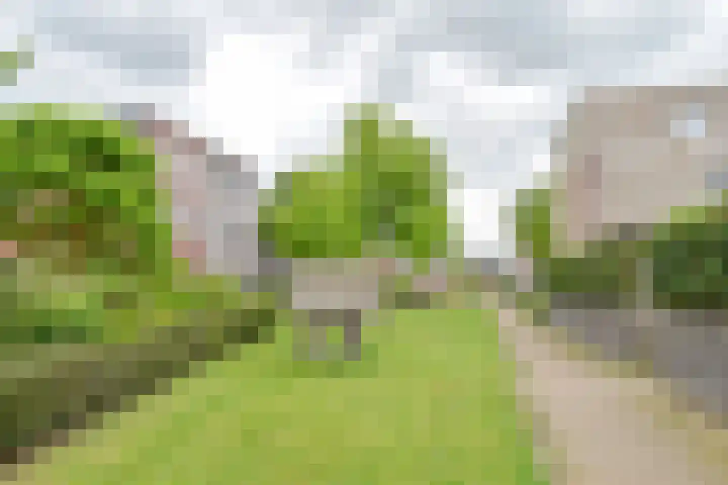 Citroenvlinder 71 Hoogeveen thumbnail 52