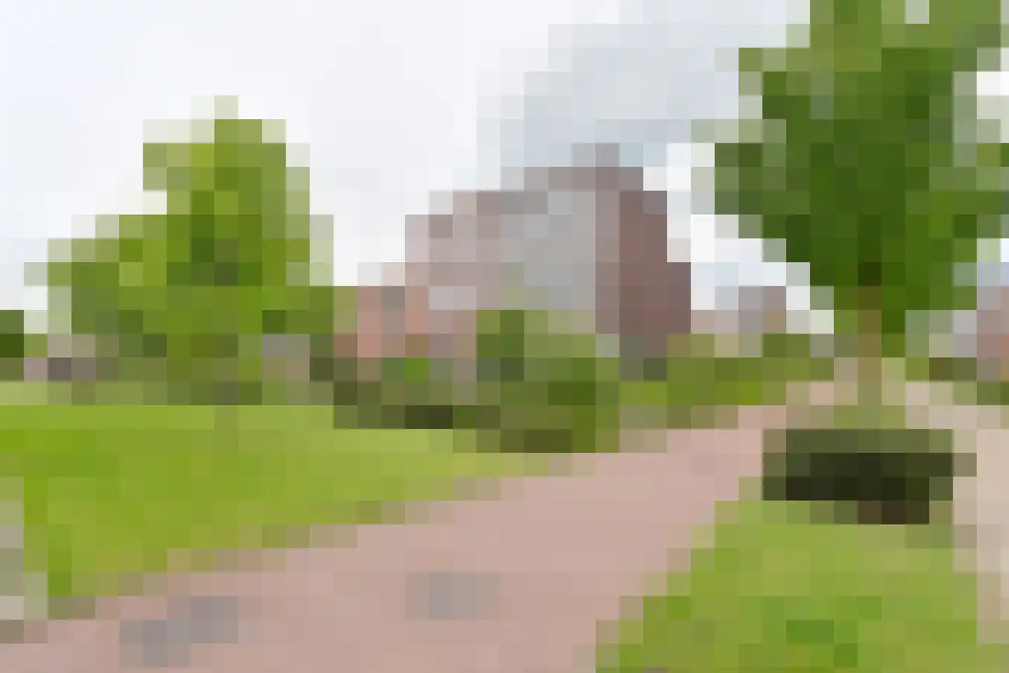 Citroenvlinder 71 Hoogeveen thumbnail 53