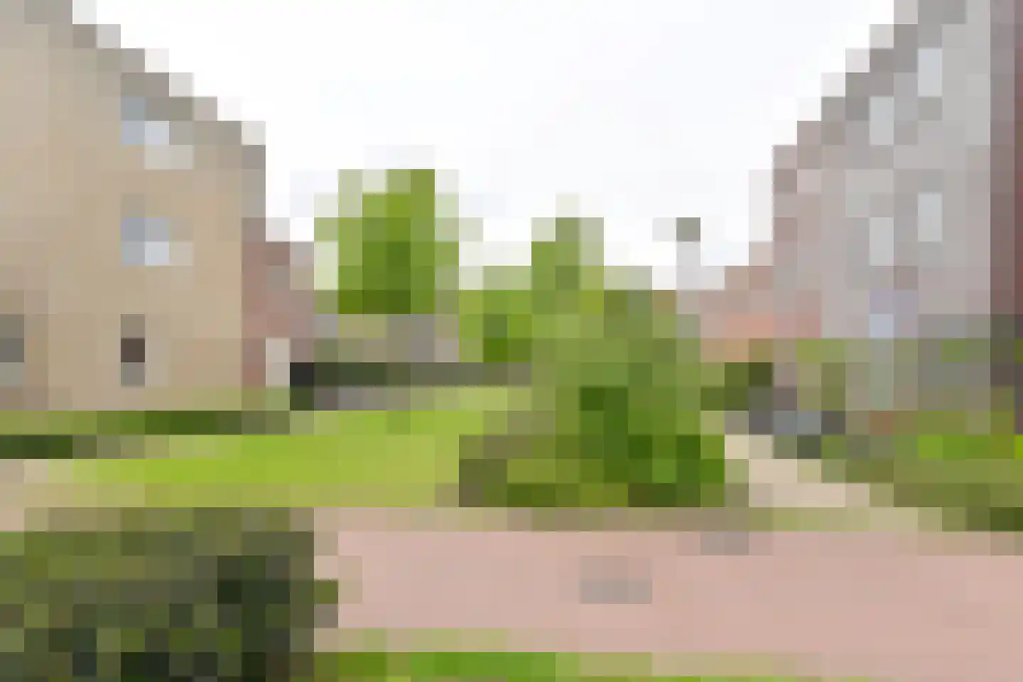 Citroenvlinder 71 Hoogeveen thumbnail 54