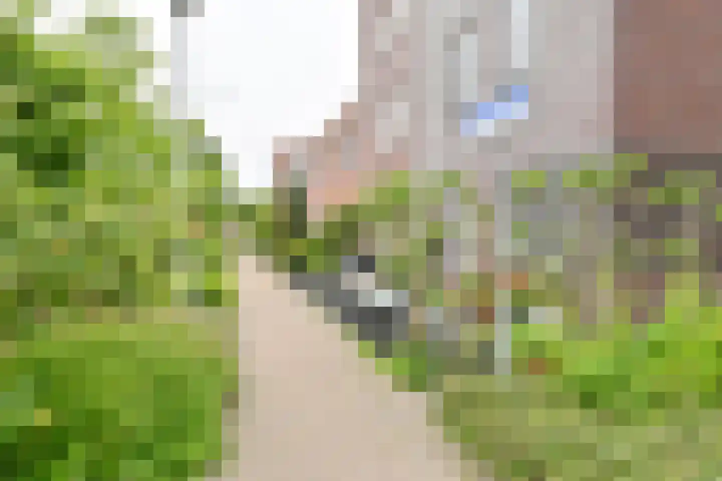 Citroenvlinder 71 Hoogeveen thumbnail 55