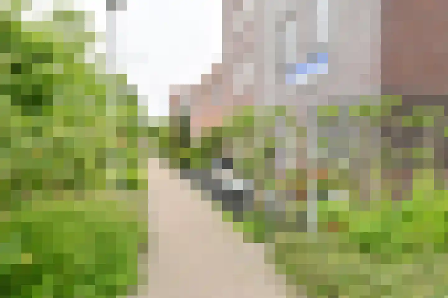 Citroenvlinder 71 Hoogeveen thumbnail 57