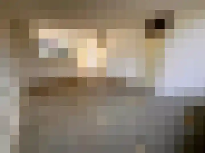 Citroenvlinder 73 Zeewolde thumbnail 11