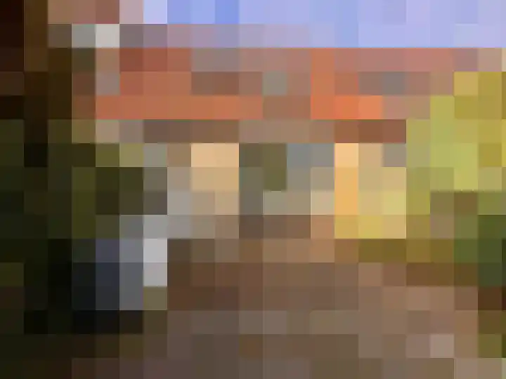 Citroenvlinder 73 Zeewolde thumbnail 29