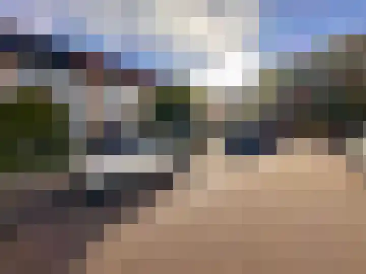 Citroenvlinder 73 Zeewolde thumbnail 32
