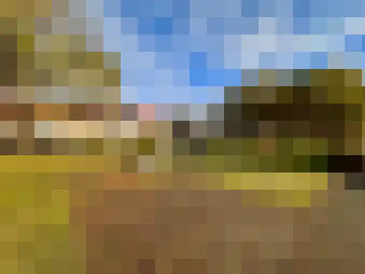 Citroenvlinder 73 Zeewolde thumbnail 34
