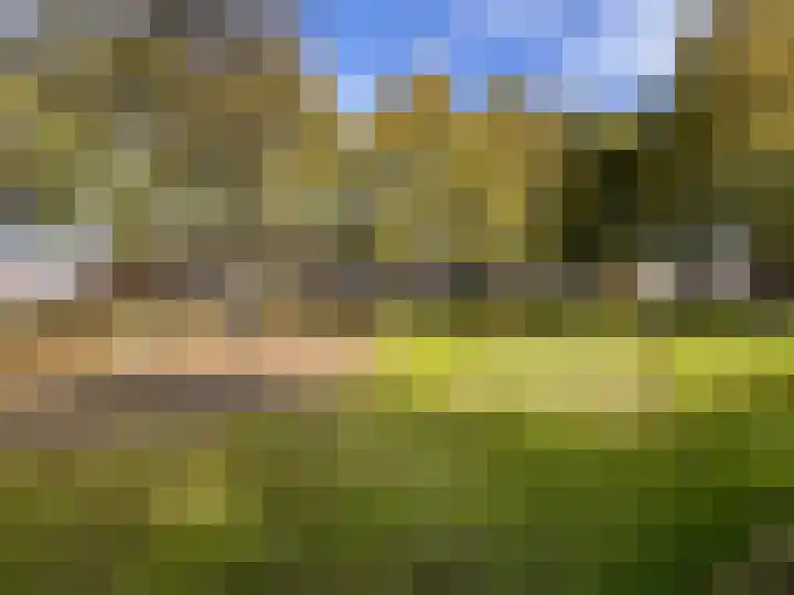 Citroenvlinder 73 Zeewolde thumbnail 36