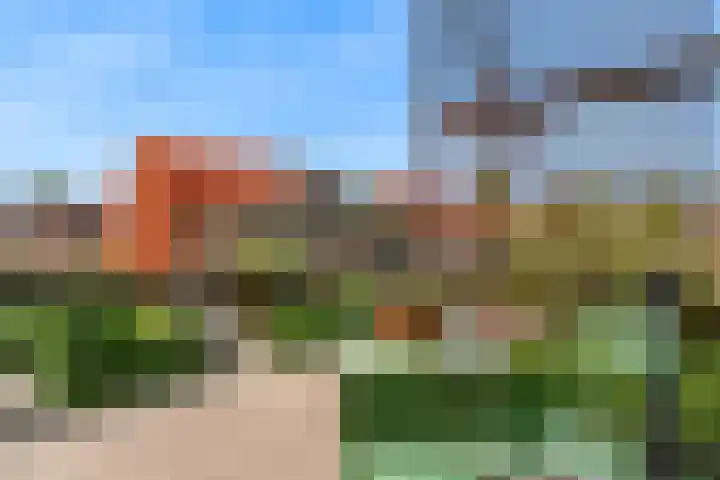 Citroenvlinder 9 Utrecht thumbnail 24