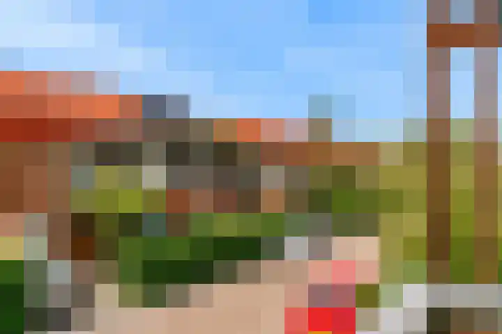 Citroenvlinder 9 Utrecht thumbnail 25
