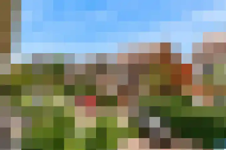 Citroenvlinder 9 Utrecht thumbnail 26