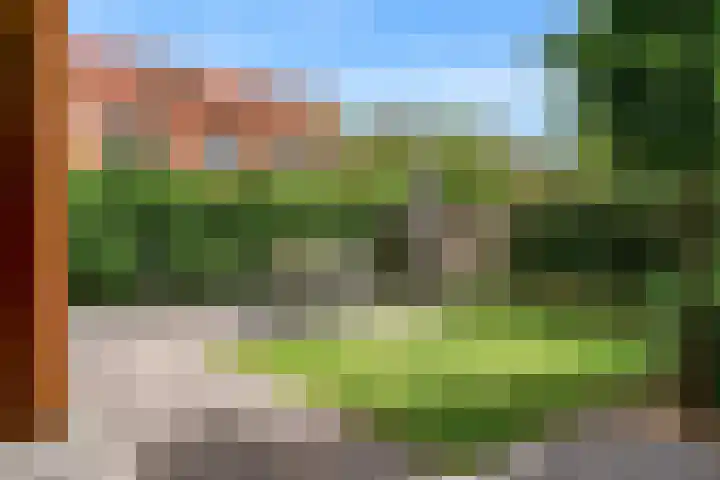 Citroenvlinder 9 Utrecht thumbnail 36