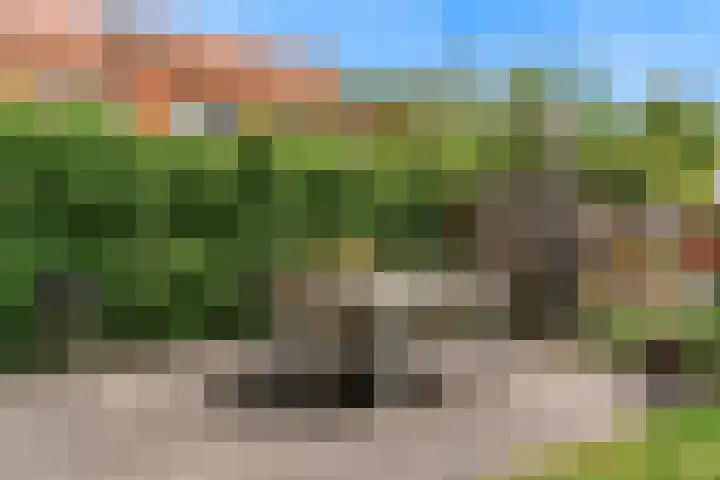 Citroenvlinder 9 Utrecht thumbnail 37