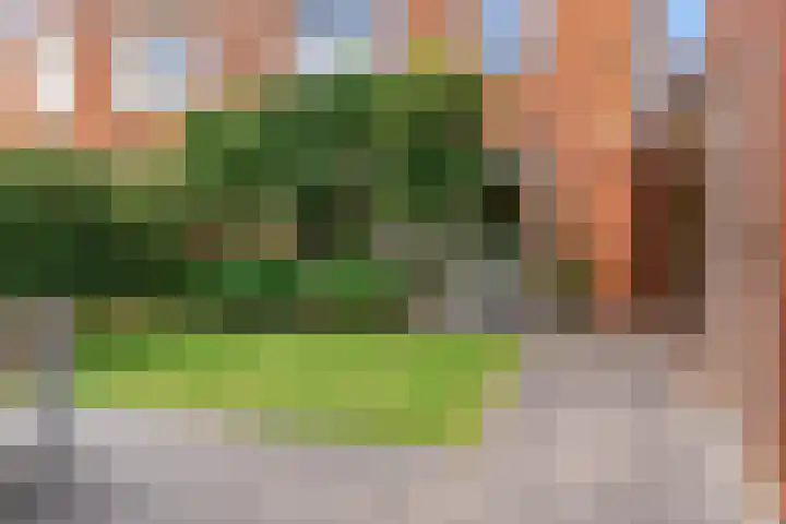Citroenvlinder 9 Utrecht thumbnail 40