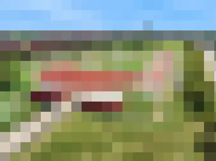 Citroenvlinder 9 Utrecht thumbnail 48