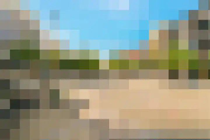 Citroenvlinder 9 Utrecht thumbnail 50