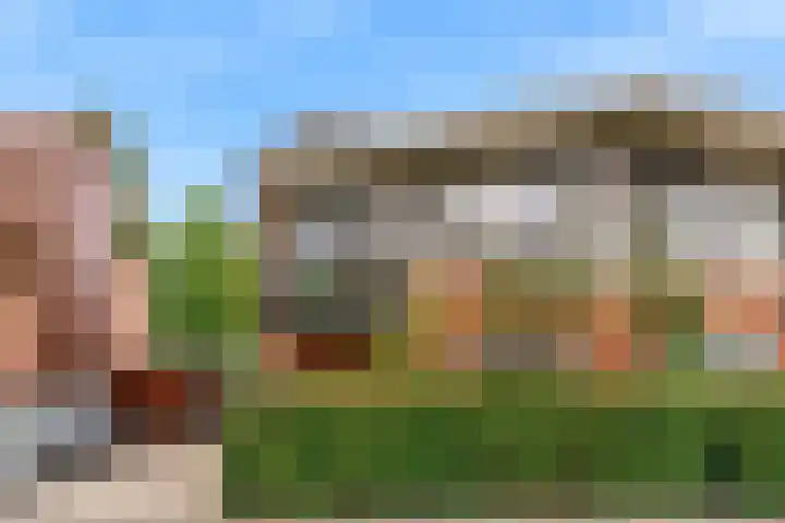 Citroenvlinder 9 Utrecht thumbnail 58