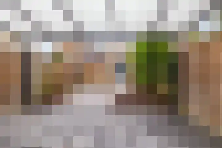 Citroenvlinder 95 Hoogeveen thumbnail 39