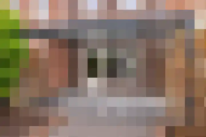 Citroenvlinder 95 Hoogeveen thumbnail 4