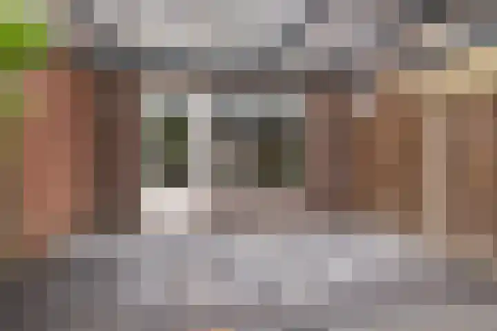 Citroenvlinder 95 Hoogeveen thumbnail 40
