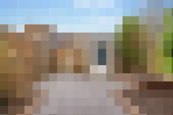Citroenvlinder 95 Hoogeveen thumbnail 41