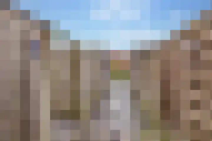 Citroenvlinder 95 Hoogeveen thumbnail 44