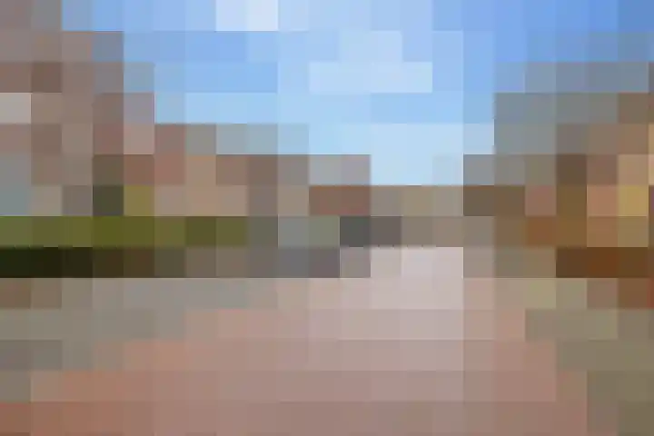 Citroenvlinder 95 Hoogeveen thumbnail 46