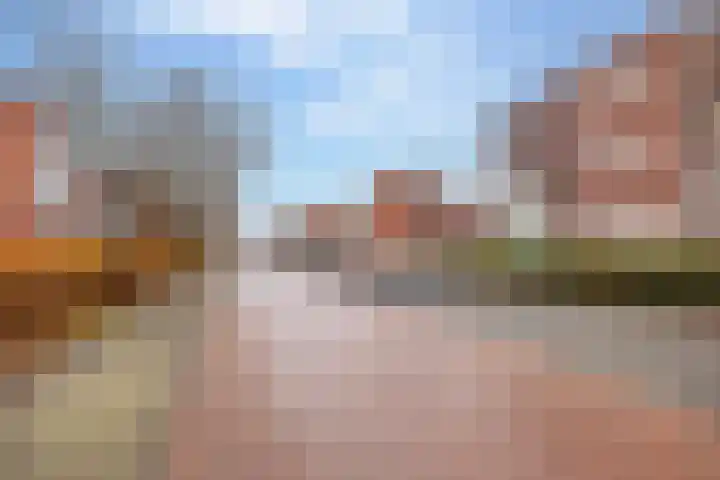 Citroenvlinder 95 Hoogeveen thumbnail 47