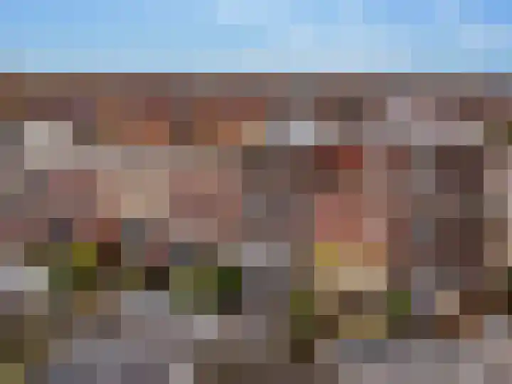 Citroenvlinder 95 Hoogeveen thumbnail 5