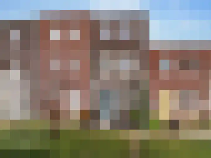 Citroenvlinder 95 Hoogeveen thumbnail 6