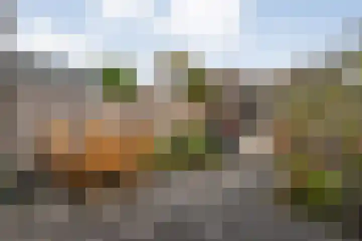 Citroenvlinder 97 Hoogeveen thumbnail 36