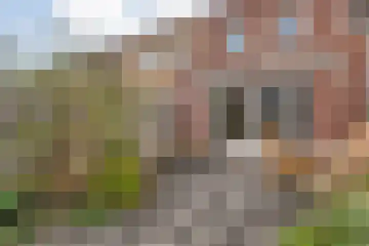 Citroenvlinder 97 Hoogeveen thumbnail 37