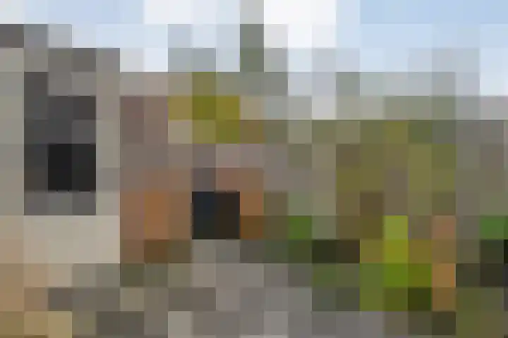 Citroenvlinder 97 Hoogeveen thumbnail 39