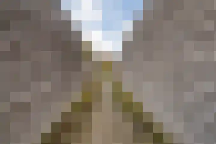 Citroenvlinder 97 Hoogeveen thumbnail 40