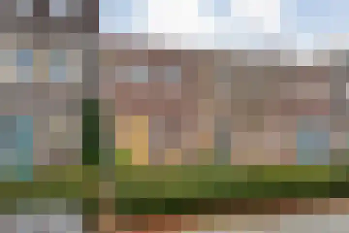Citroenvlinder 97 Hoogeveen thumbnail 5