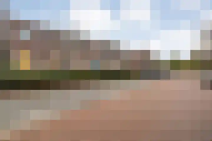Citroenvlinder 97 Hoogeveen thumbnail 6