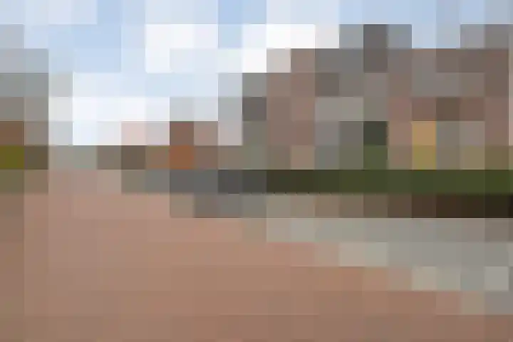 Citroenvlinder 97 Hoogeveen thumbnail 7