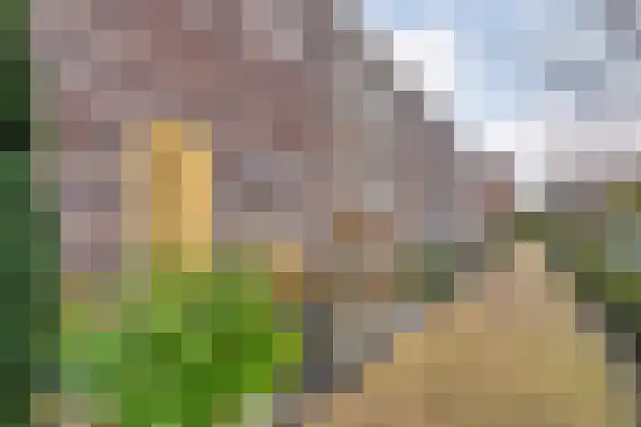 Citroenvlinder 97 Hoogeveen thumbnail 8