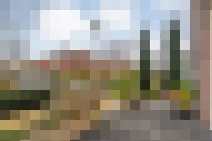 Citroenvlinder 97 Hoogeveen thumbnail 9