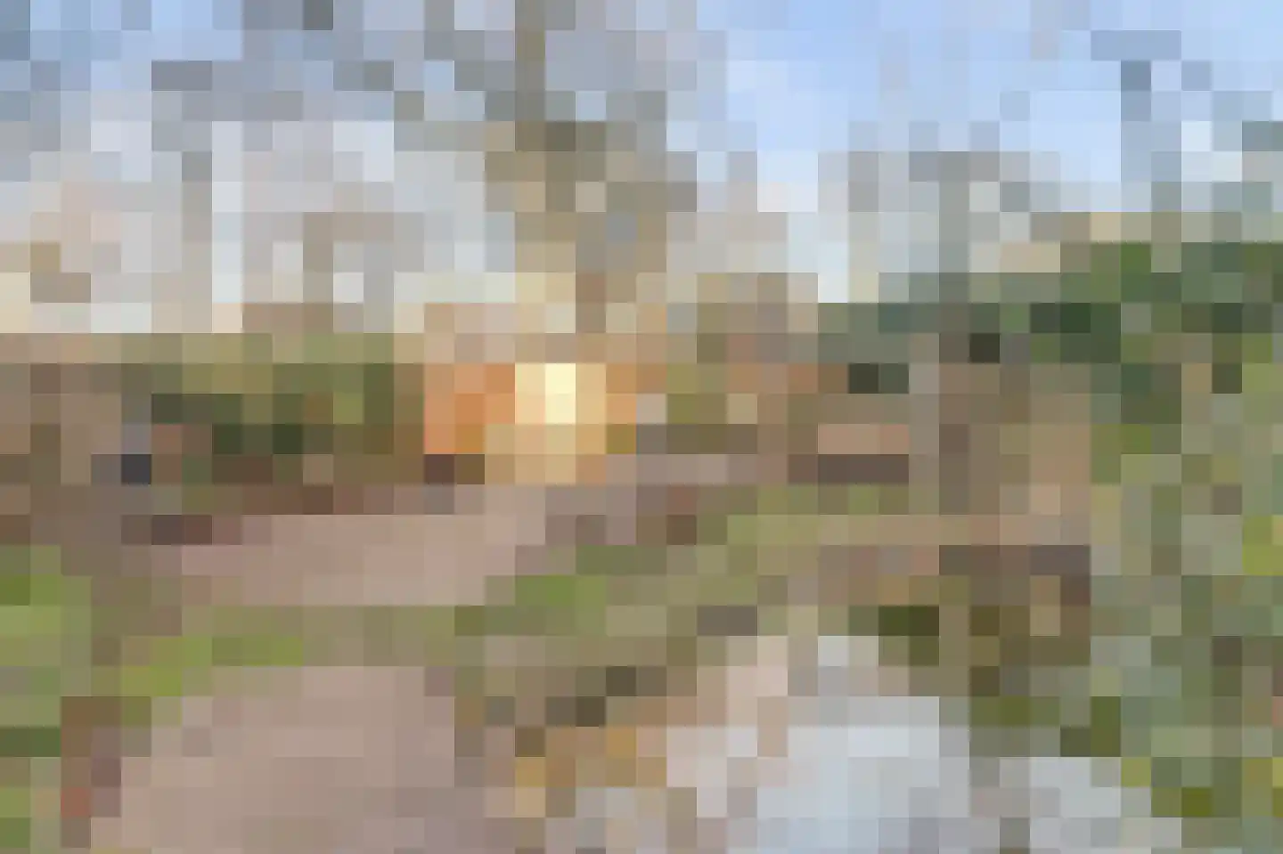 Citroenvlinderhof 20 Oosterhout thumbnail 41