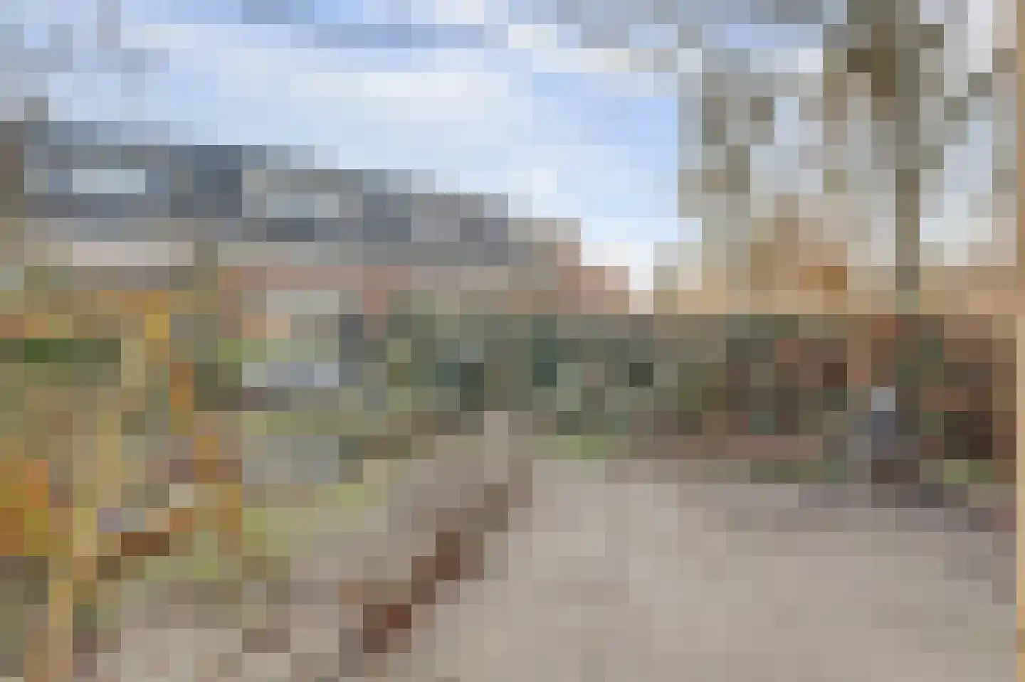 Citroenvlinderhof 20 Oosterhout thumbnail 43