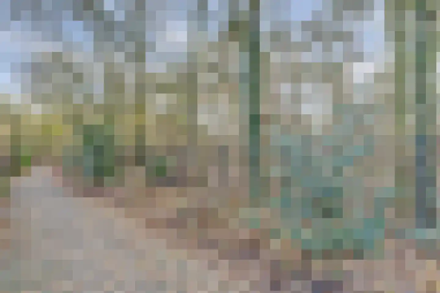 Citroenvlinderhof 20 Oosterhout thumbnail 45